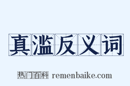 真滥反义词是什么意思的图片